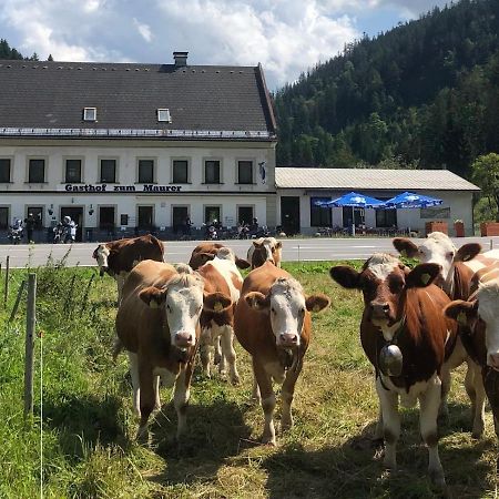 玛利亚采尔 Gasthof Zum Maurer酒店 外观 照片